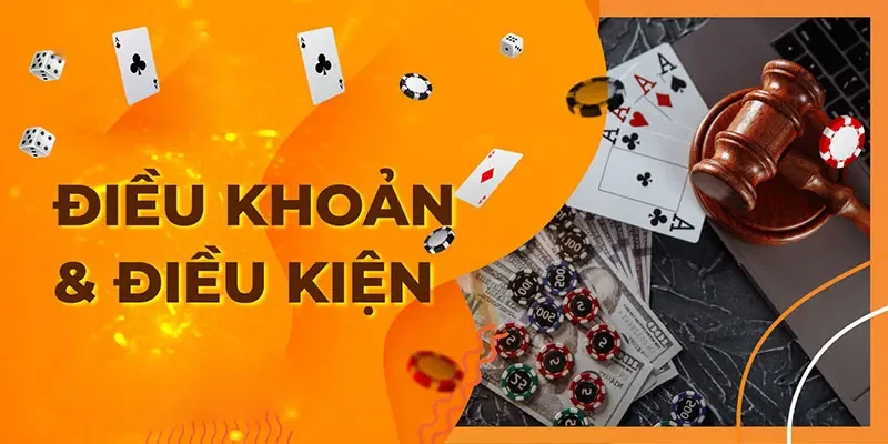 Những điều cần biết về điều khoản điều kiện rikvip
